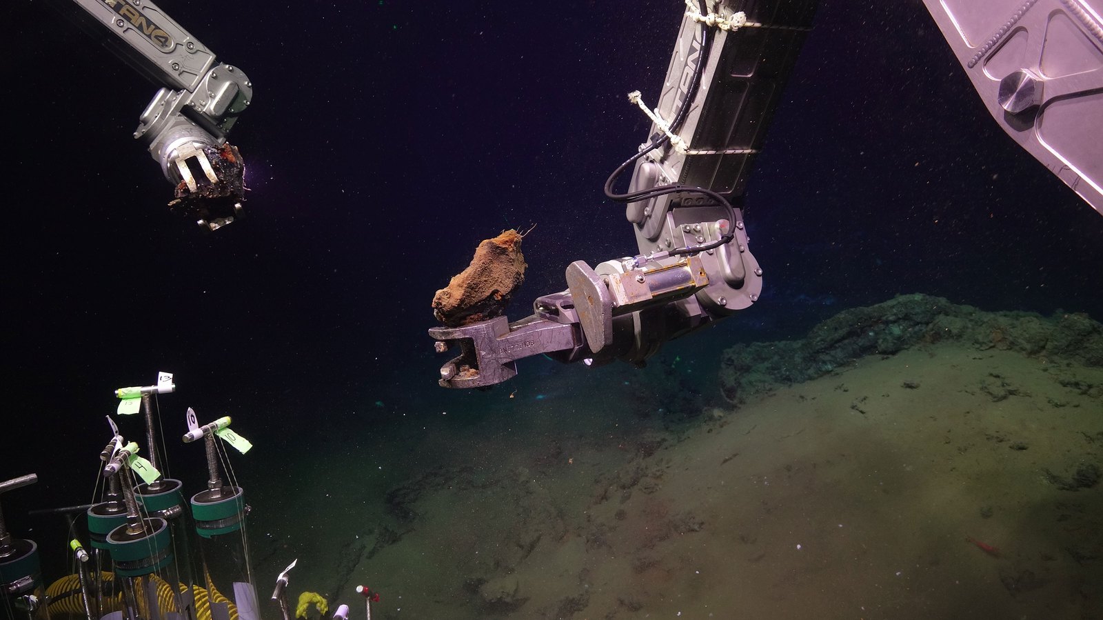 Two metal mechanical arms each hold a piece of rock from the seafloor with the silty ocean bottom below it.