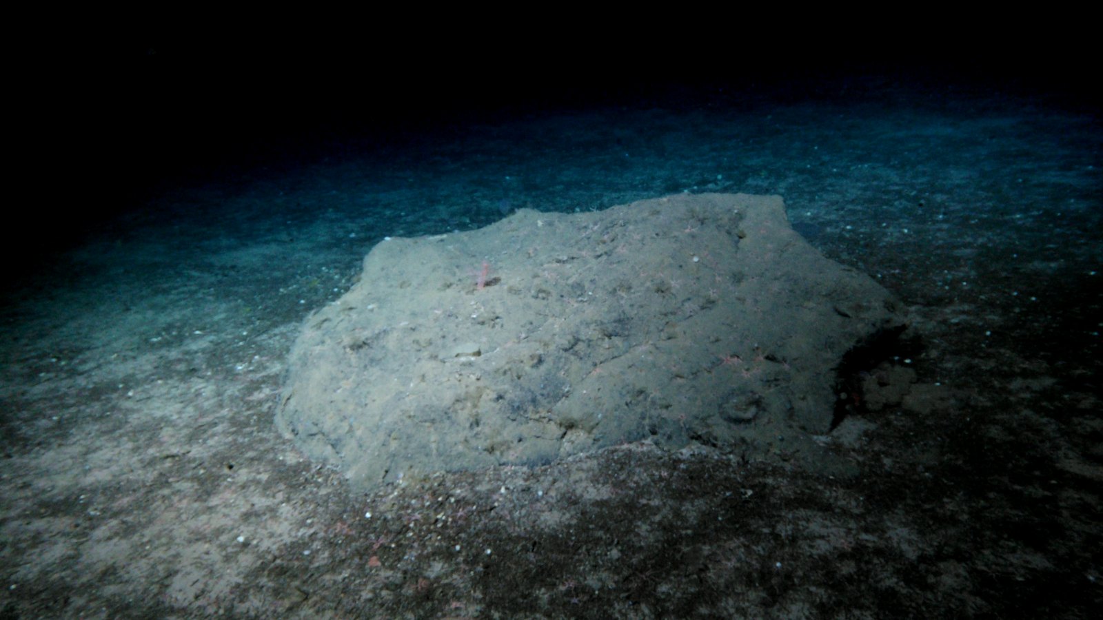 DeepInsight23 research expedition back on shore