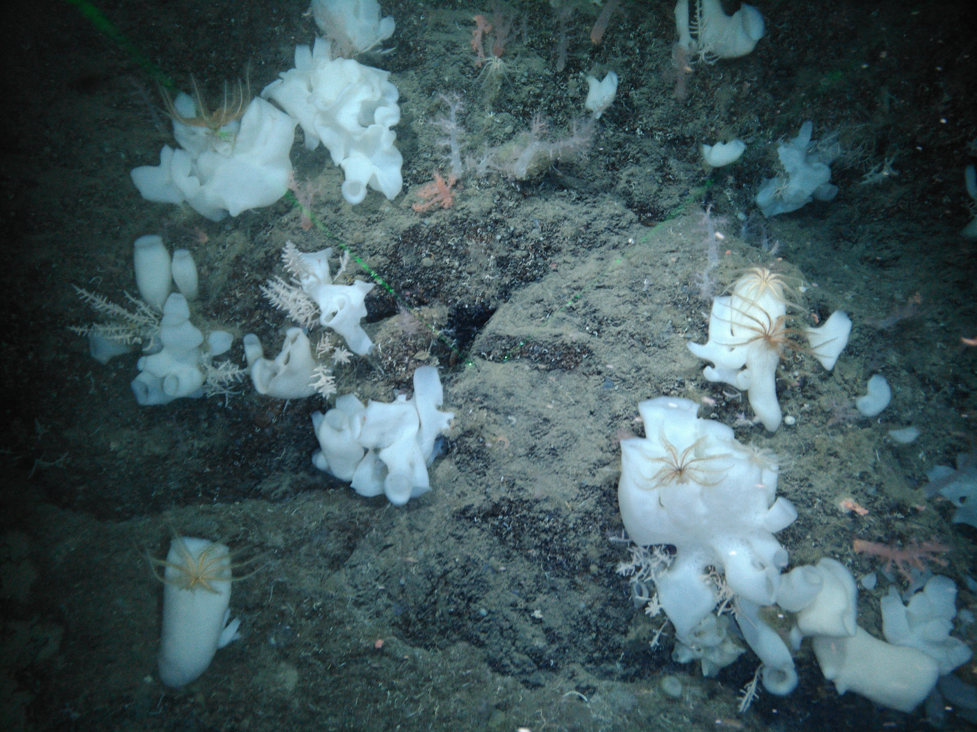 DeepInsight23 research expedition back on shore