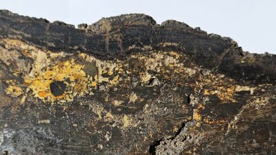 Giant Polymetallic Nodule