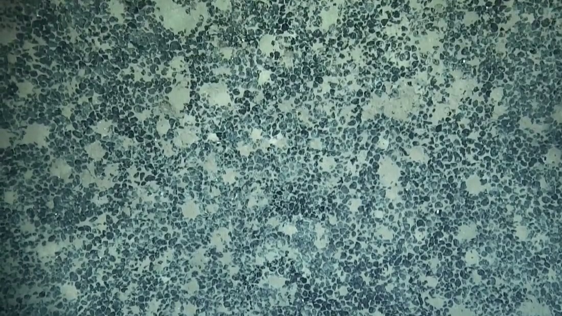showcasing textures and colors reminiscent of the ocean floor