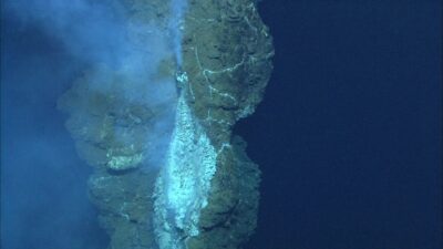 Hydrothermal vent smoking near the top of a large sulfide chimney in Tongan waters