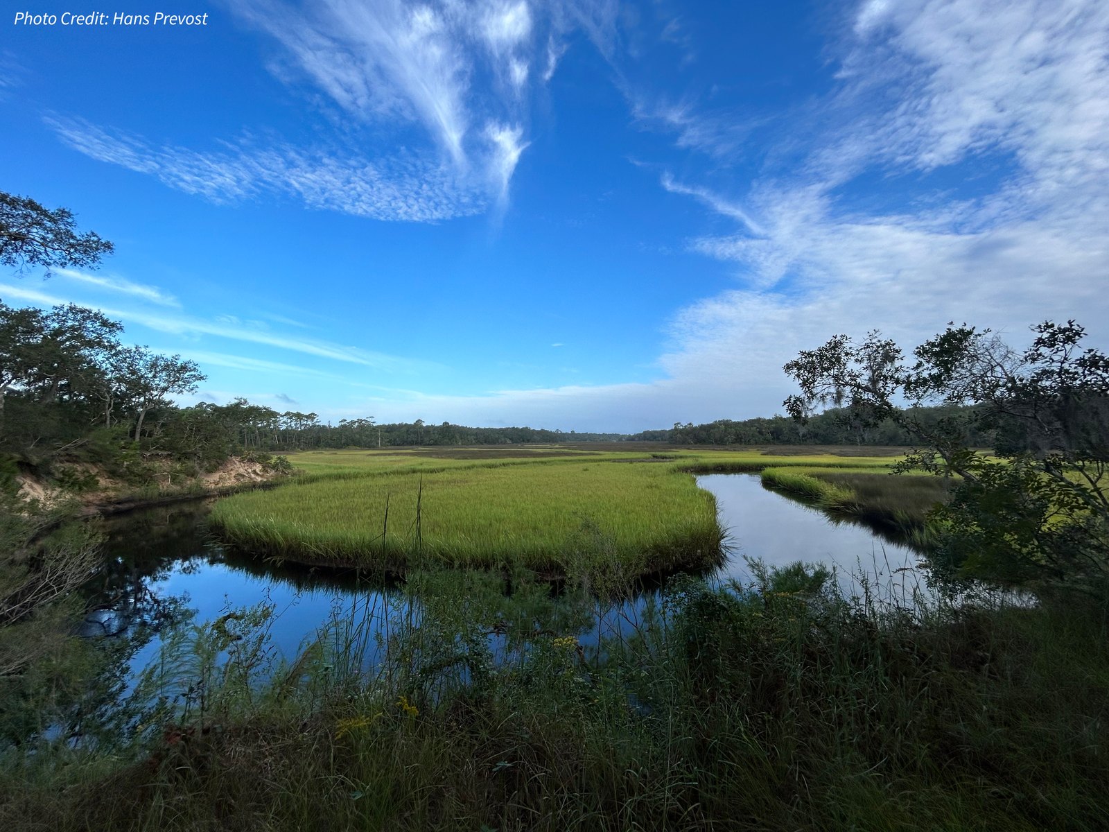 A blue creek surrounded by tall grasses under blue skies.