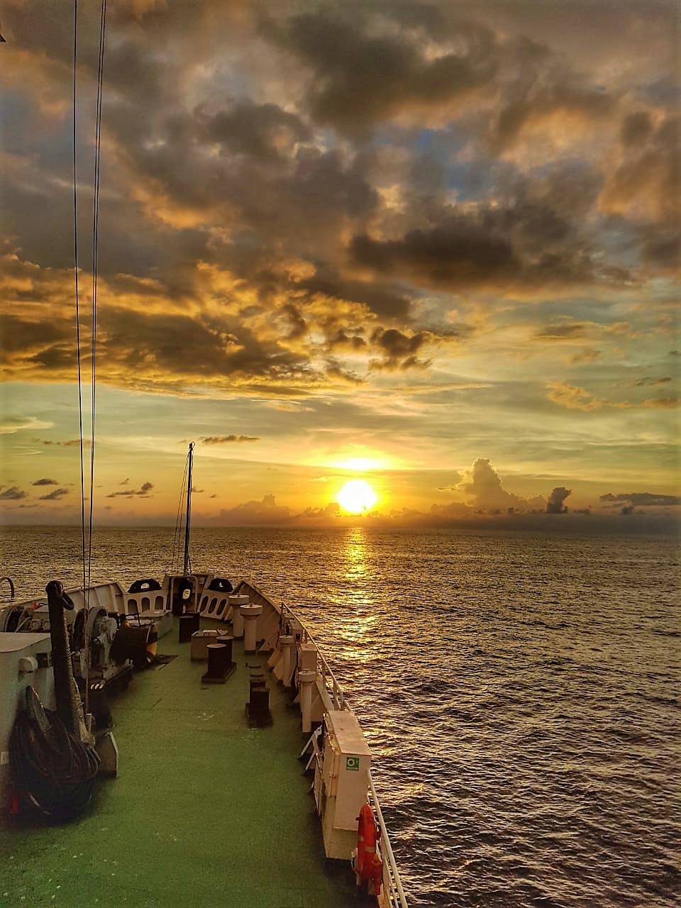 Scientific Expedition IOM-2019