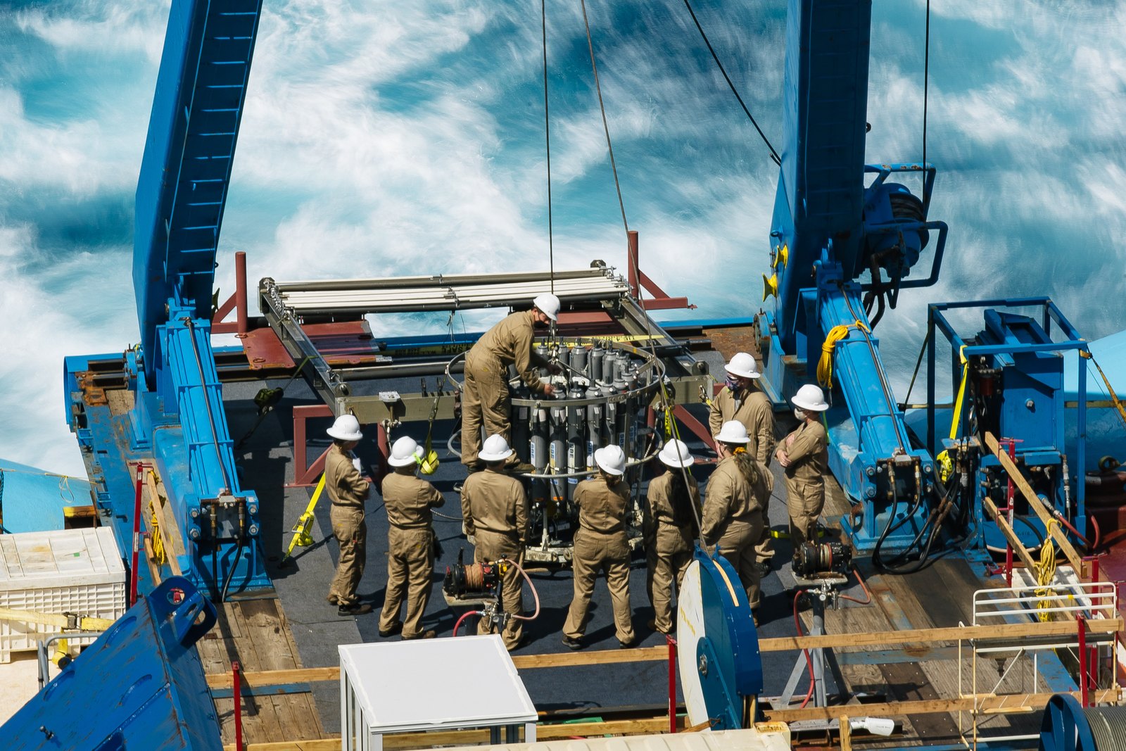 CTD Rosette