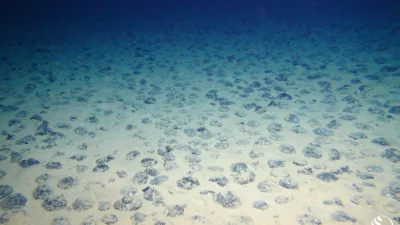 Building an Ecological Baseline in the Central Pacific Ahead of Deep-Sea Mining