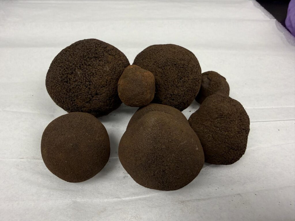 Polymetallic nodules used in Green Manganese Technologies' bench-scale tests, which the company says recovered more than 90 percent of the manganese, nickel, cobalt and copper in one process.