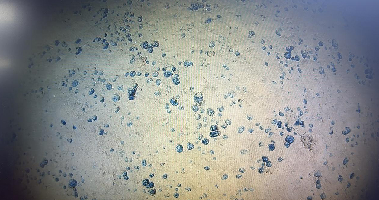 Close-up of a textured beige surface with scattered blue specks.