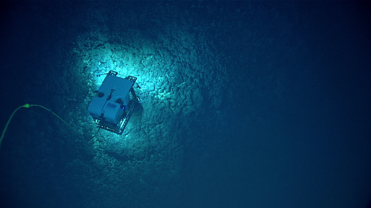 The remotely operated vehicle, Deep Discoverer, imaging the deep seafloor off American Samoa