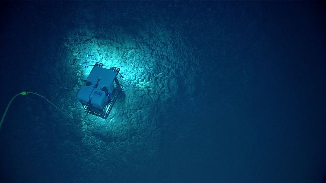 The remotely operated vehicle, Deep Discoverer, imaging the deep seafloor off American Samoa