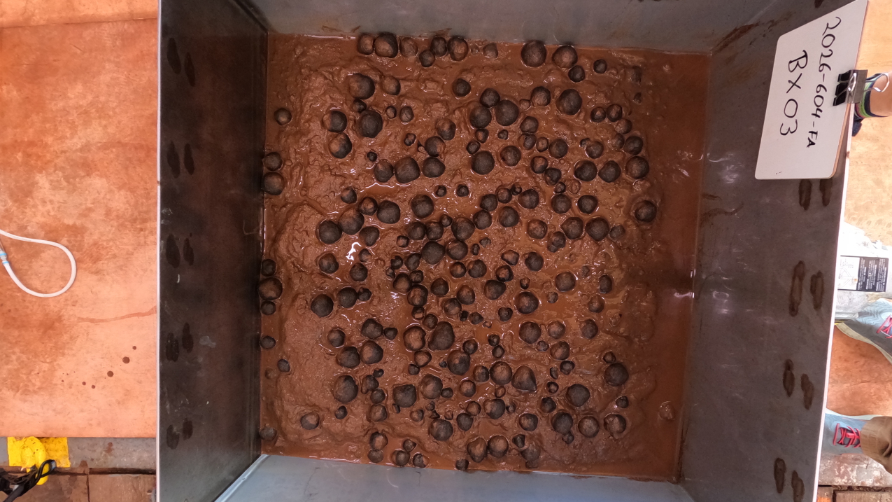 A metal box about 29.5 inches x 29.5 inches holds numerous round, dark nodules, presumed to contain critical minerals, each a few inches in diameter, in reddish-brown mud collected from the abyssal se