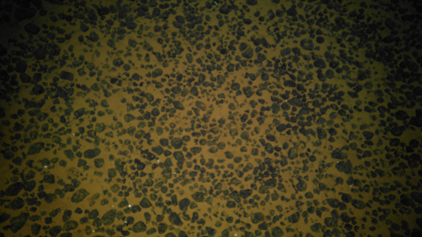 An underwater photo of numerous round, dark nodules presumed to be polymetallic in composition on the ocean floor.