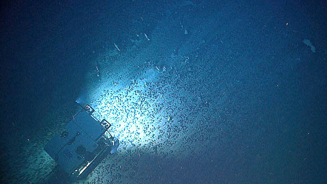 Photo of the remotely operated vehicle Deep Discoverer traverses over an extensive field of ferromanganese nodules that formed the bulk of the hard seafloor substrate for much of Dive 17 of the 2021 N